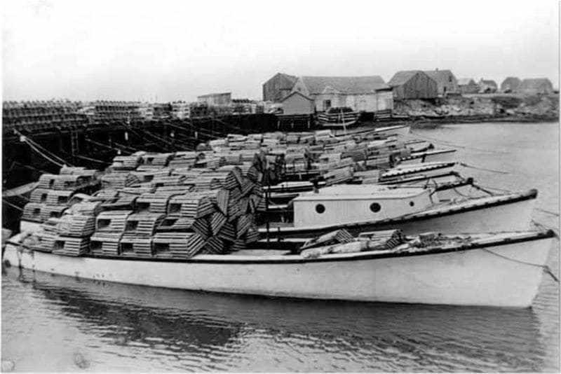 Boats docked in Cape John in 1955, preparing to set traps