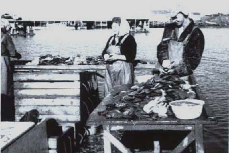 Jean, Edna and George Wright shucking scallops in Cape John, 1967